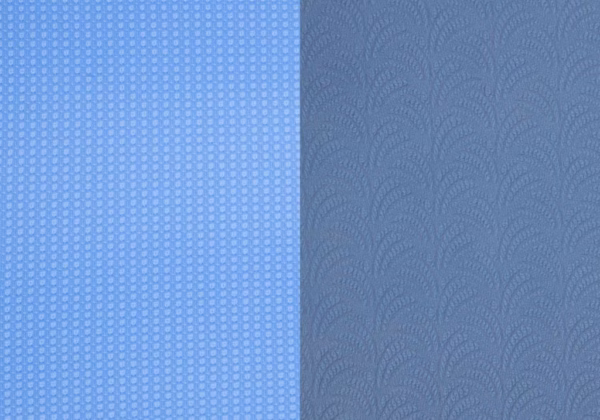 joga-mat-lotus-pro-bodhi-goluboj-svetlo-goluboj-2-scaled-1.avif Saltea Yoga Bodhi Lotus Pro Blue/Light blue
